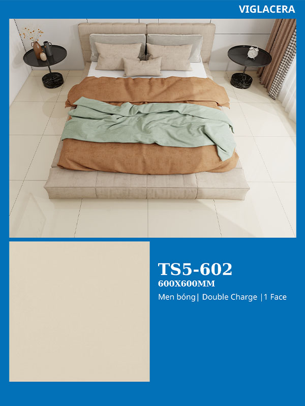 Phối cảnh gạch Viglacera 60x60 TS5-602