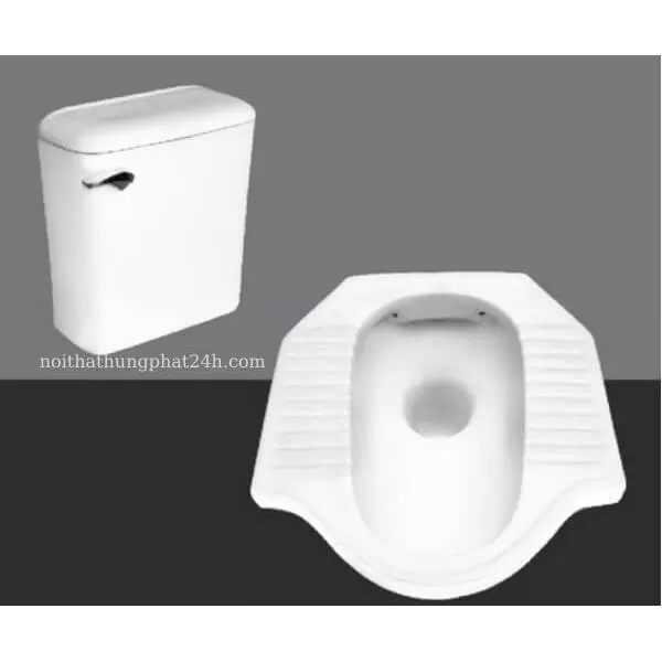 Bàn cầu xổm két treo Hảo Cảnh TL02