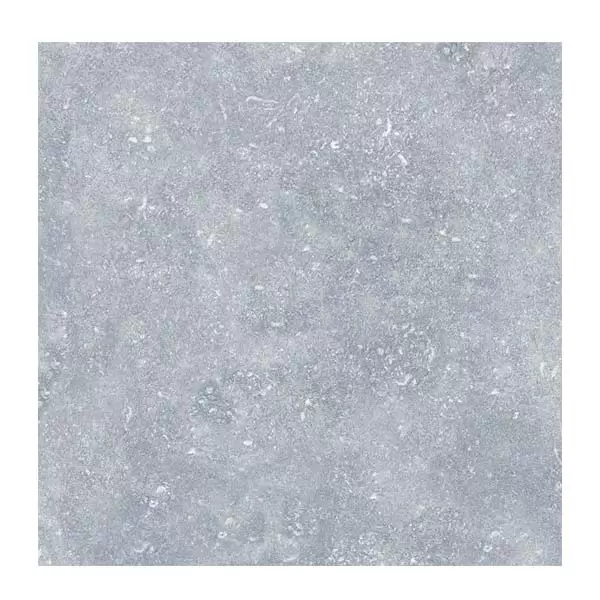 Gạch chống trơn Đồng Tâm 3030GECKO006 Porcelain