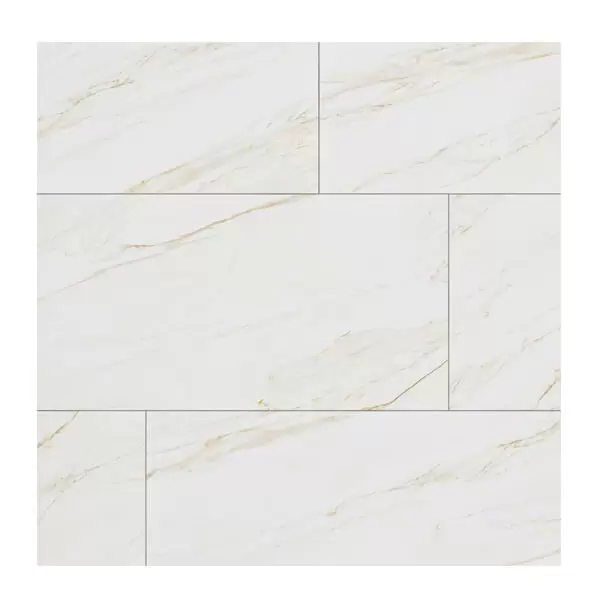 Gạch Đồng Tâm 60x120 LANGBIANG001-FP-H+ Porcelain Kháng Khuẩn