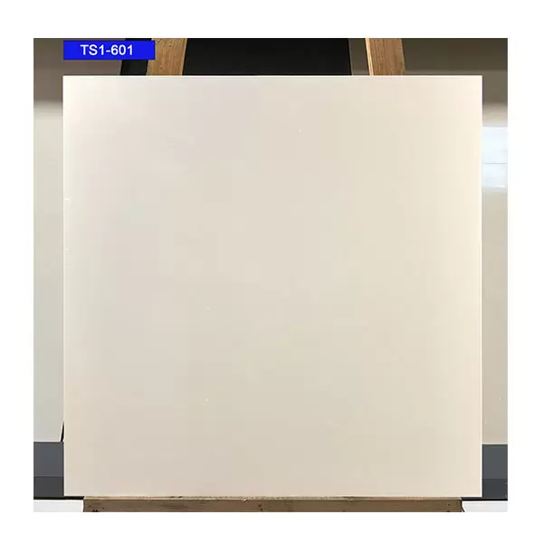 Gạch viglacera 60x60 TS5-601 Porcelain