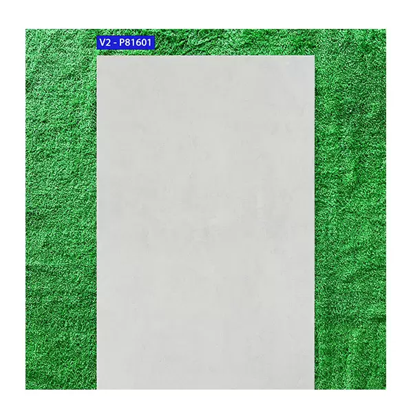 Gạch ốp lát Viglacera 80x160 V2-P81601 Granite