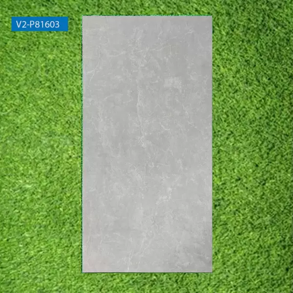 Gạch lát nền Viglacera 80x160 V2-P81603 Granite