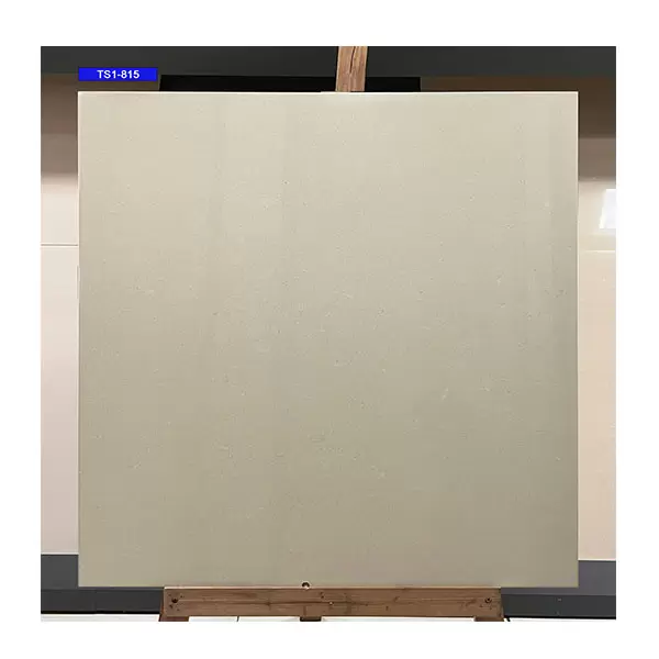  Gạch 80x80 viglacera TS1-815 vân đá Porcelain (Doublecharge)