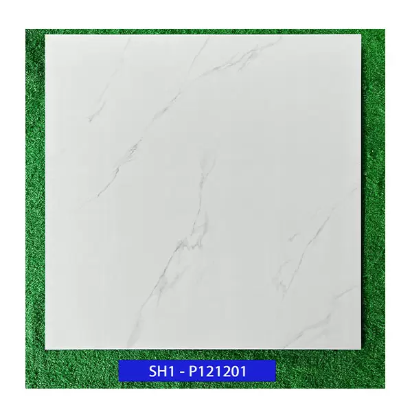 Gạch ốp lát Viglacera 120X120 SH1-P121201 Granite